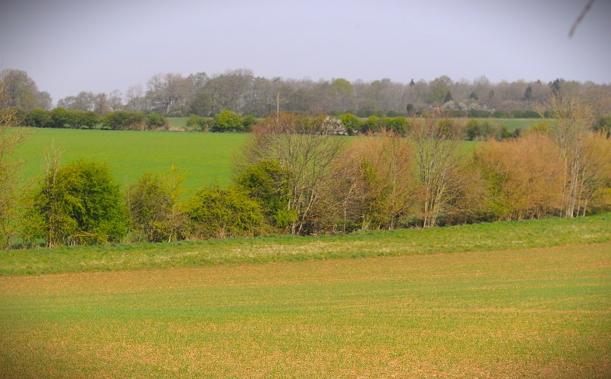 67fcba2d80f13 Landscape1a