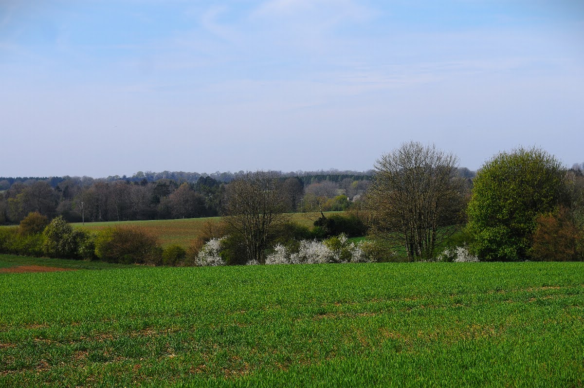 67fcba2db82ed Landscape2a