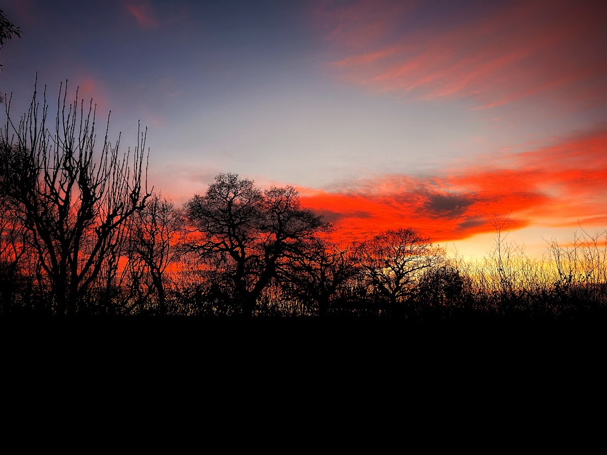 68062c96c7fb3 Hannah Clement Greattew Landscape1