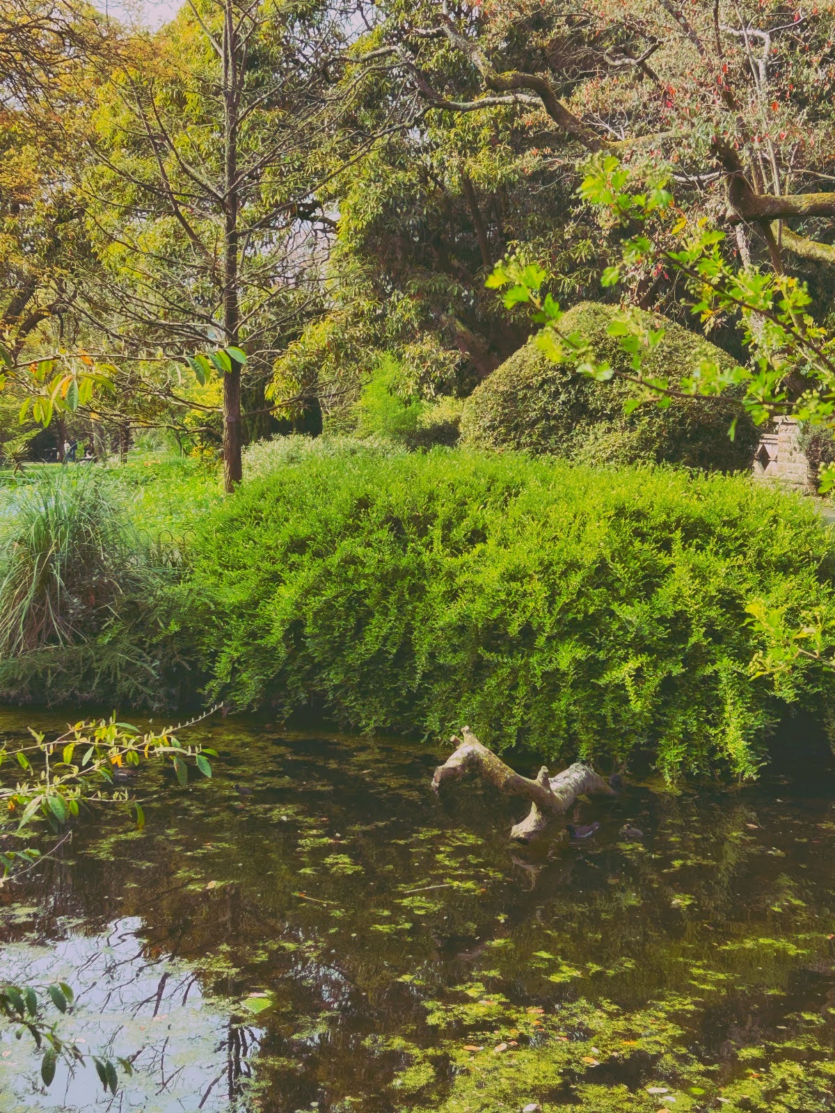 68062c9733f4c Hannahclement Greattew Landscape2