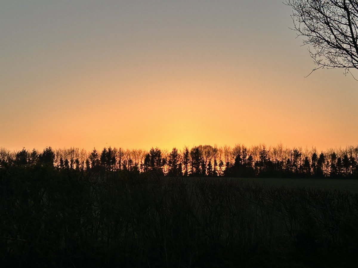 68065799040a3 Emilia Higgs MB Landscape 1 