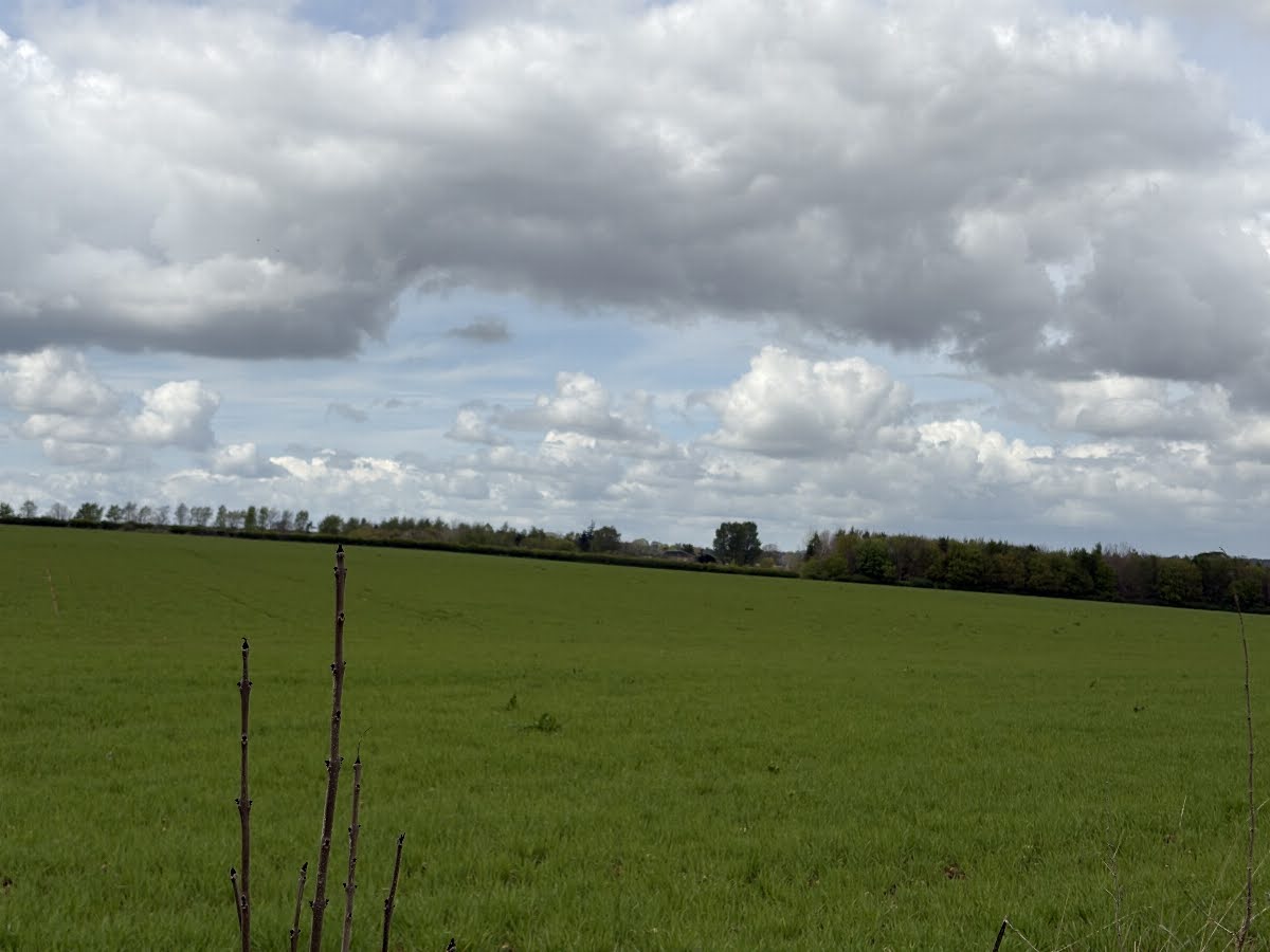 68078c29247e1 Albert Philpott Enstone Landscape 1