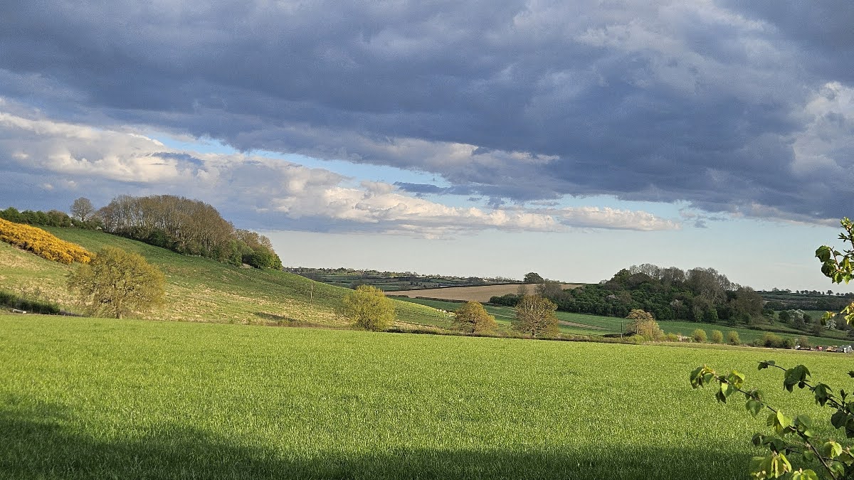6807c74cb734c Hayley Schuleman Middle Barton Landscape 2