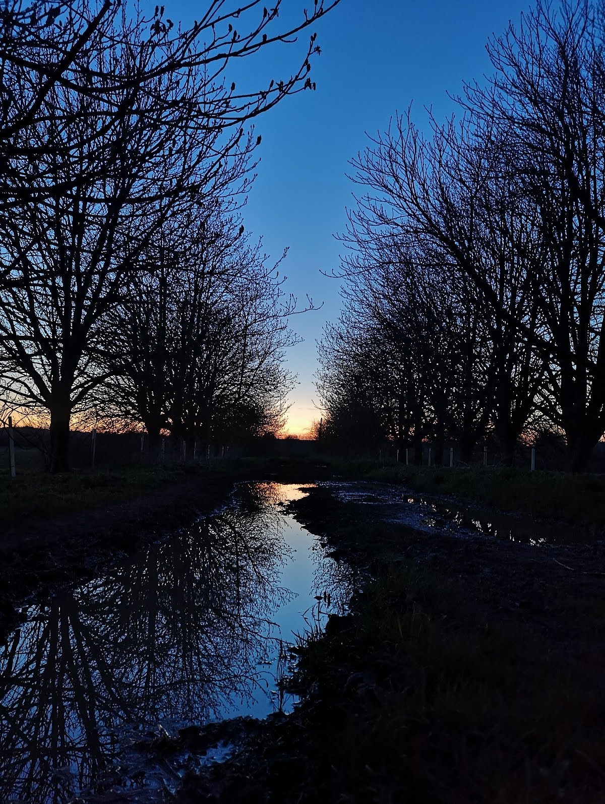 680816166ea8a Liv Jarman Great Tew Landscape2