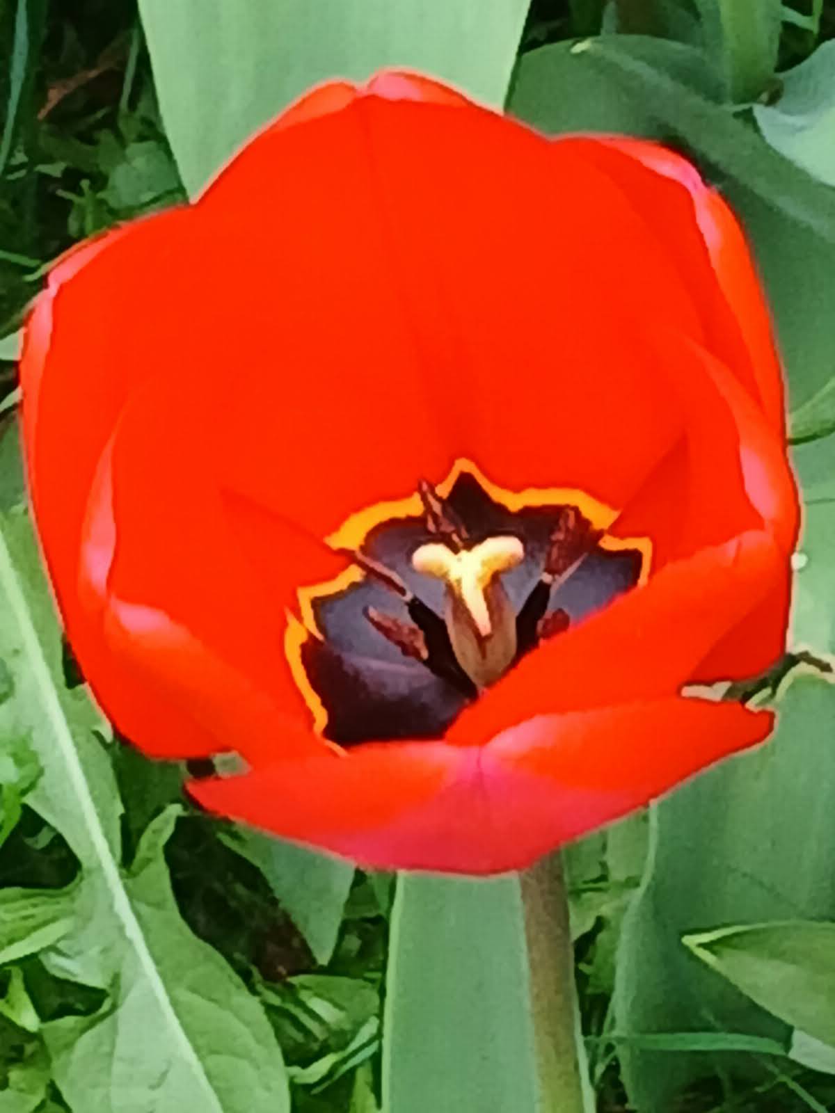 67fcf10f56c13 20250414 115441