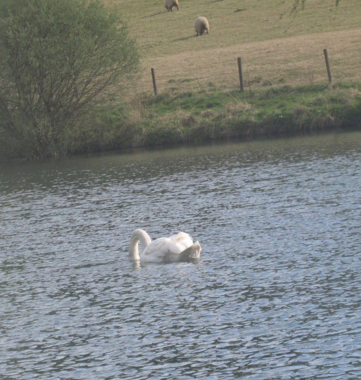 68081e4110d86 IMG 5636