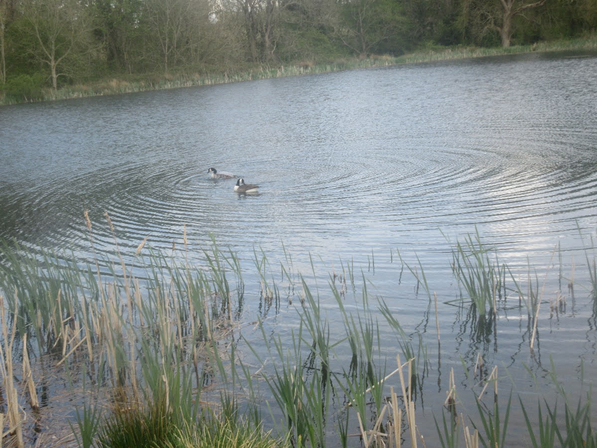 68081e4162b1d IMG 5647